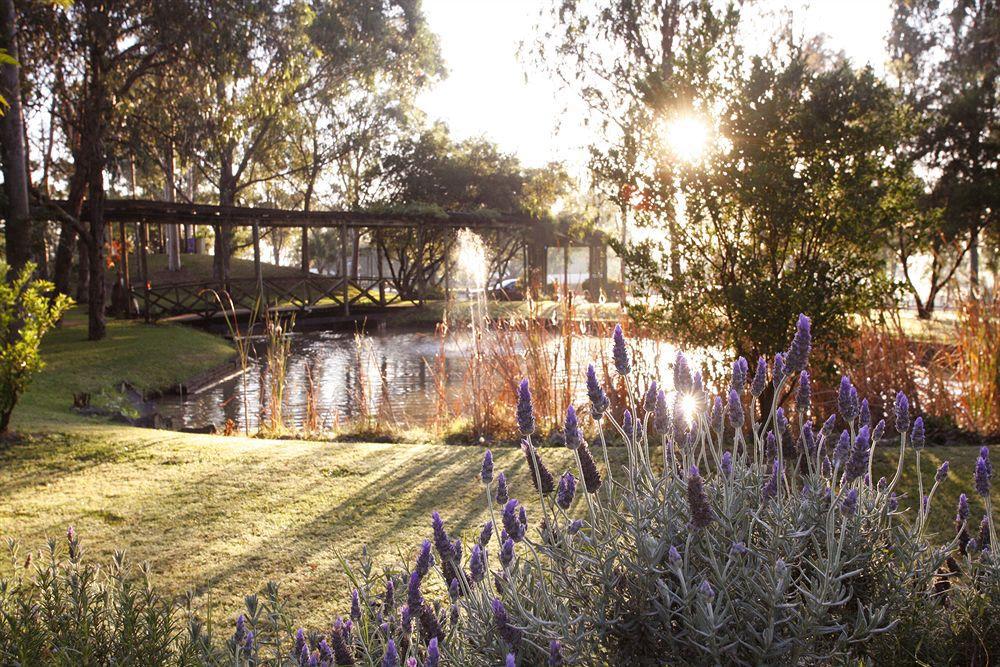 Hunter Valley Resort, Hunter Farm Adventure Centre & 4 Pines At The Farm Pokolbin Exterior foto