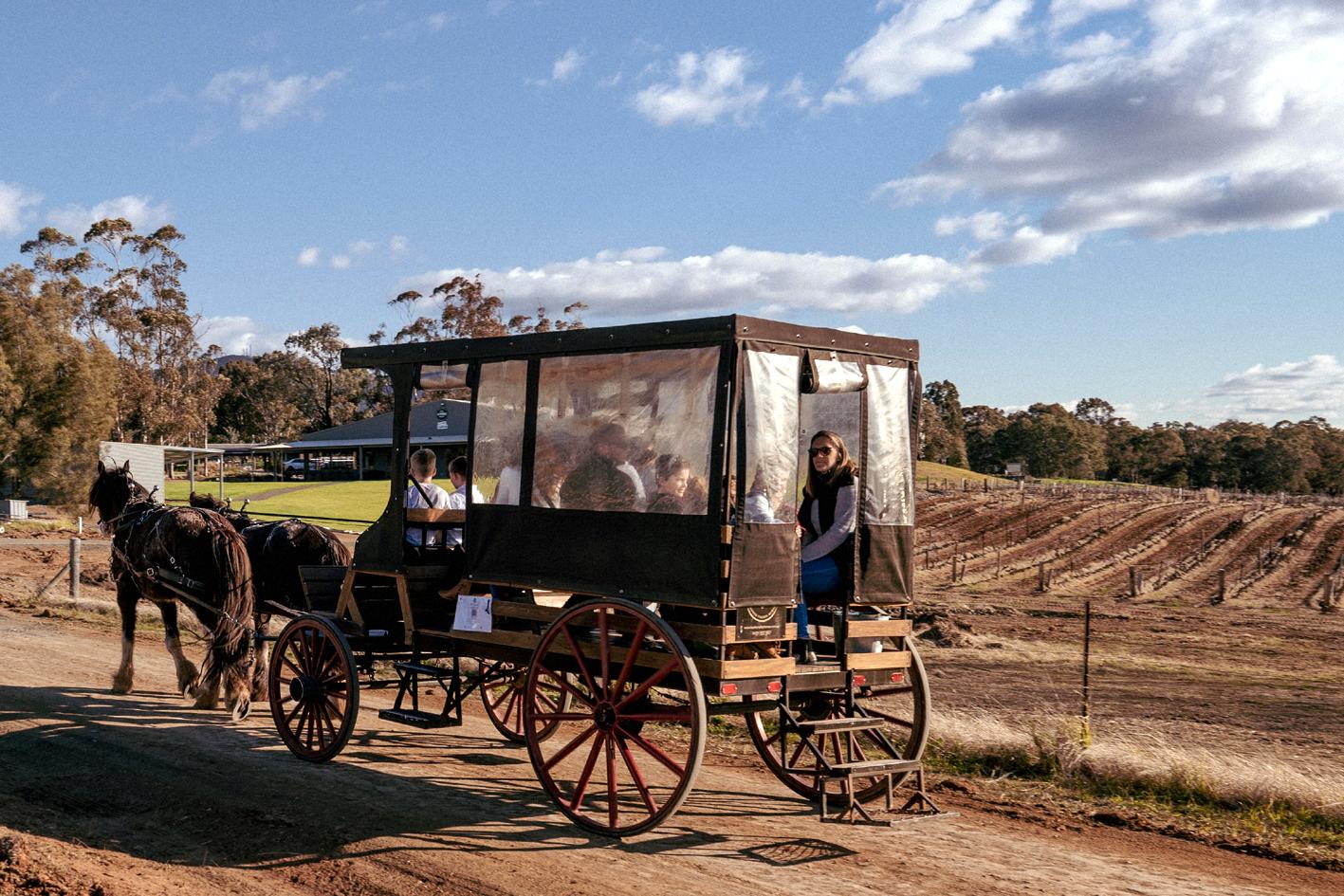 Hunter Valley Resort, Hunter Farm Adventure Centre & 4 Pines At The Farm Pokolbin Exterior foto