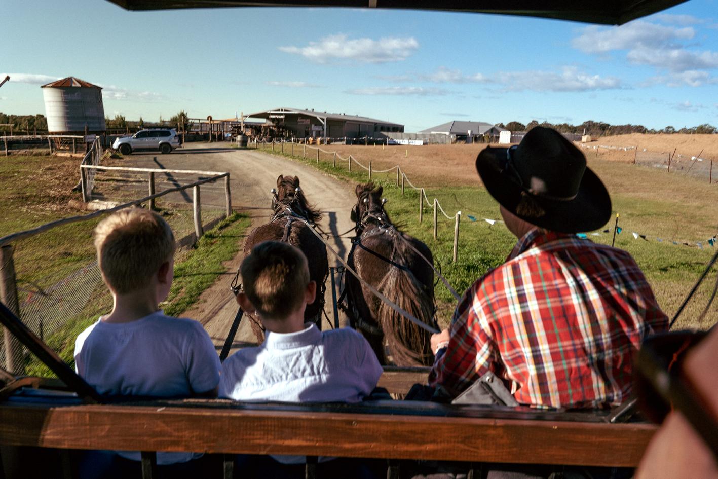 Hunter Valley Resort, Hunter Farm Adventure Centre & 4 Pines At The Farm Pokolbin Exterior foto