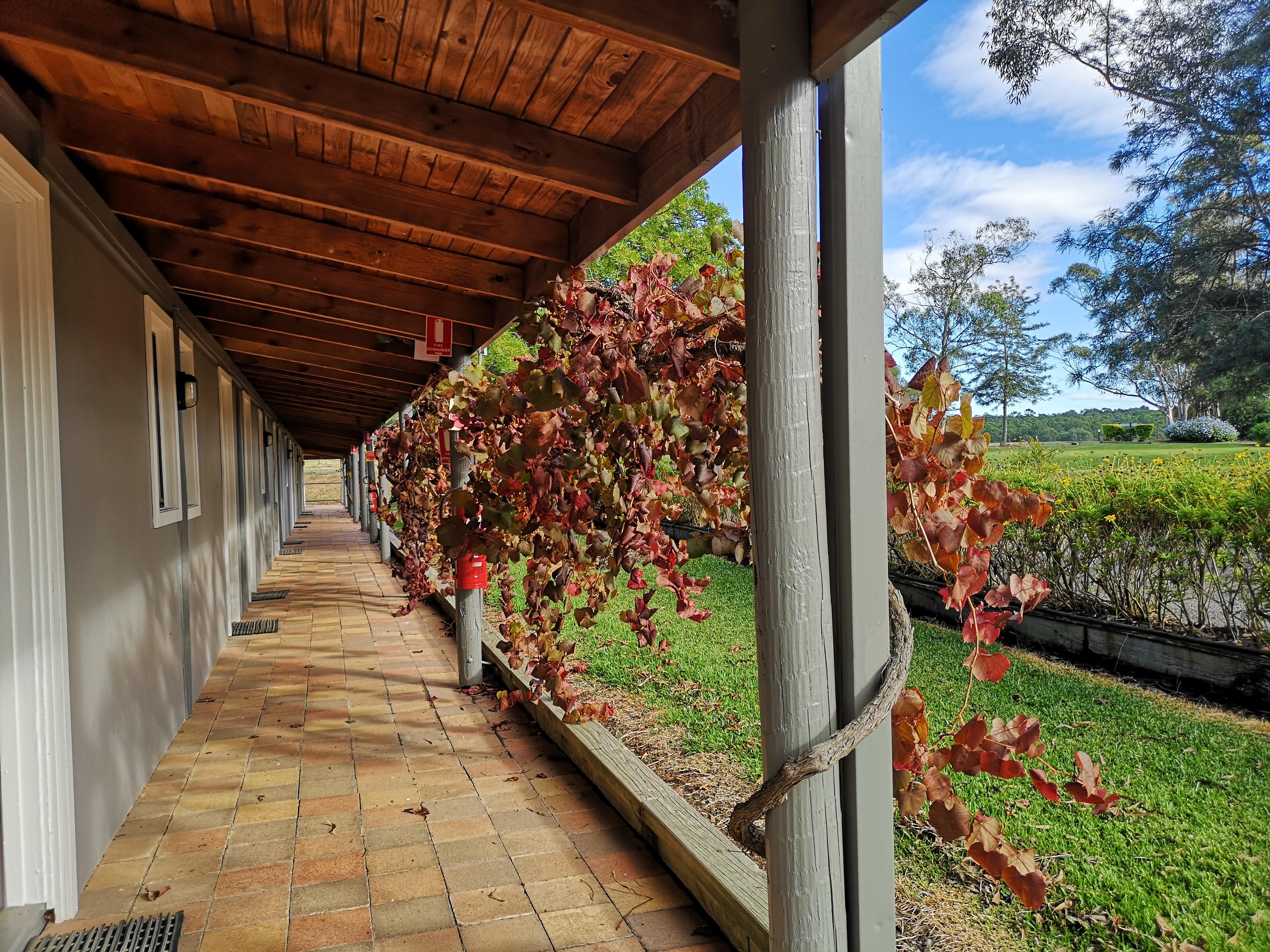 Hunter Valley Resort, Hunter Farm Adventure Centre & 4 Pines At The Farm Pokolbin Exterior foto